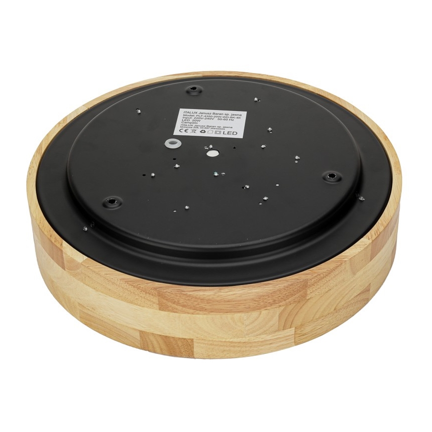 ITALUX - LED Stropna svetilka CAMPELO LED/20W/230V 4000K