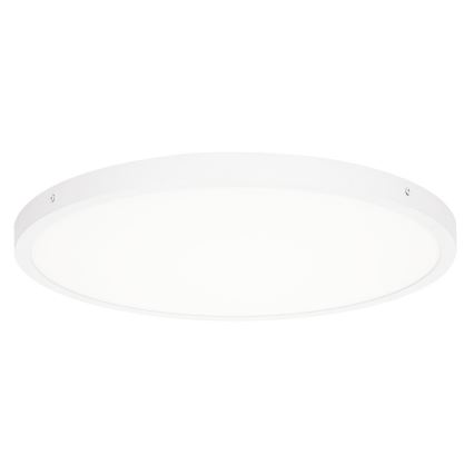 ITALUX - LED Stropna svetilka PELARO LED/36W/230V 3000K bela