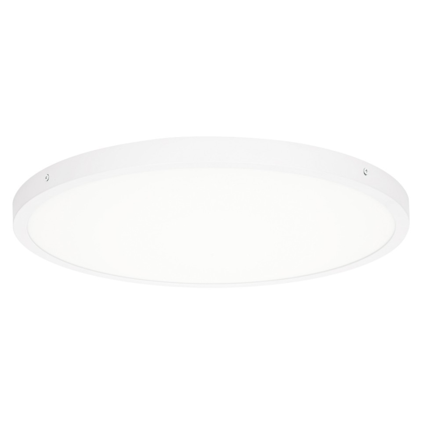 ITALUX - LED Stropna svetilka PELARO LED/36W/230V 3000K bela