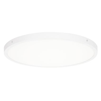 ITALUX - LED Stropna svetilka PELARO LED/36W/230V 4000K bela