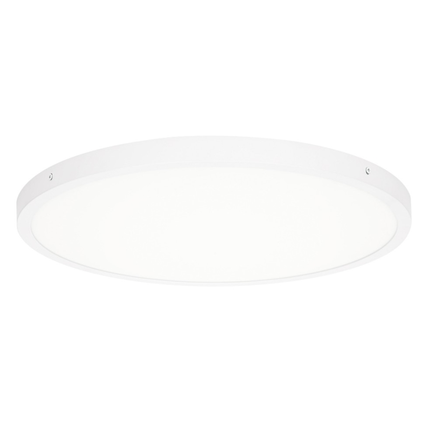 ITALUX - LED Stropna svetilka PELARO LED/36W/230V 4000K bela