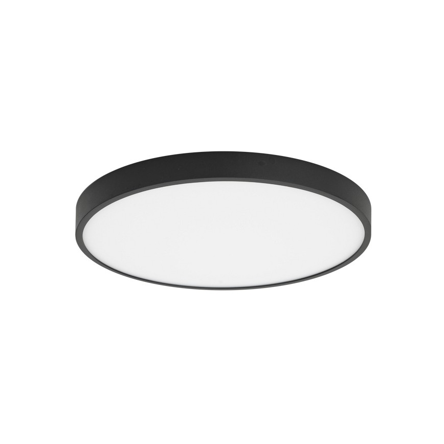 ITALUX - LED Stropna svetilka RIBERIO LED/30W/230V 4000K črna