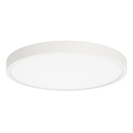 ITALUX - LED Stropna svetilka RIBERIO LED/30W/230V 3000K bela