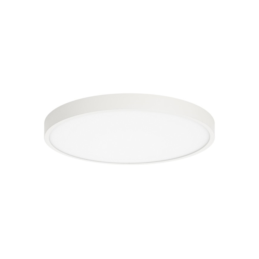 ITALUX - LED Stropna svetilka RIBERIO LED/30W/230V 3000K bela
