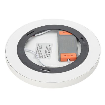 ITALUX - LED Stropna svetilka RIBERIO LED/30W/230V 3000K bela