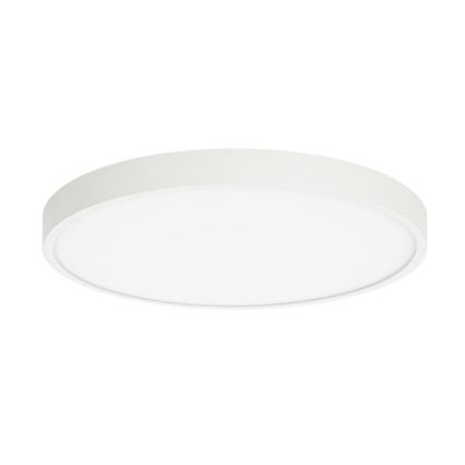 ITALUX - LED Stropna svetilka RIBERIO LED/30W/230V 4000K bela