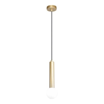 ITALUX - Viseči lestenec FILANO na kablu 1xG9/5W/230V, zlate barve