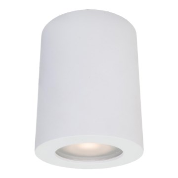 ITALUX - Zunanji reflektor FAUSTO 1xGU10/40W/230V IP44 bela