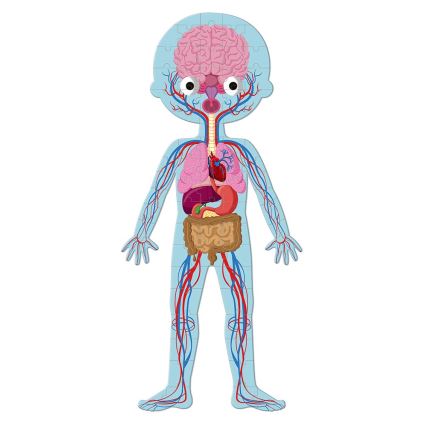 Janod - Otroška sestavljanka 225 kom. človeško telo