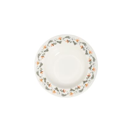 Jedilni servis 24 kosov pisan/porcelan