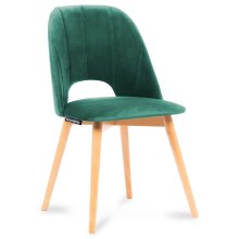 Jedilni stol TINO 86x48 cm temno zelena/bukev