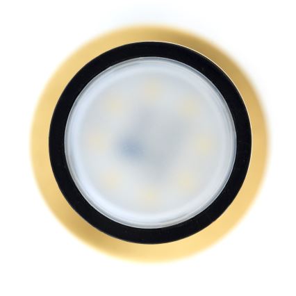 Jupiter 2009 - Lestenec na vrvici ALAS 1xGU10/10W/230V zlata