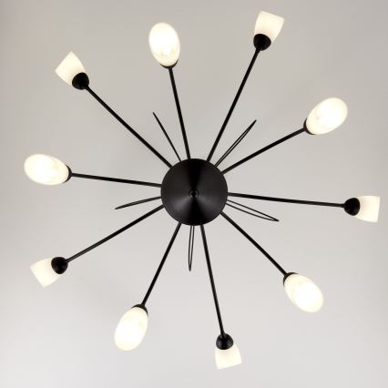 Jupiter 2056 - Lestenec na drogu GLORIOSA 10xG9/14W/230V črna