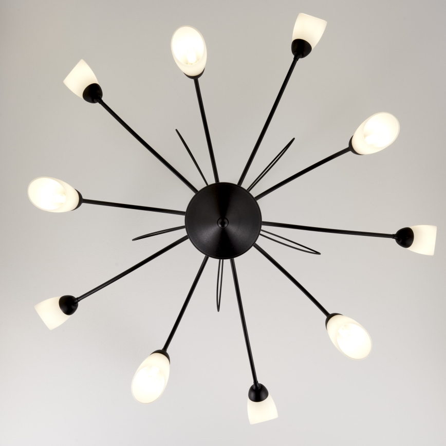 Jupiter 2056 - Lestenec na drogu GLORIOSA 10xG9/14W/230V črna