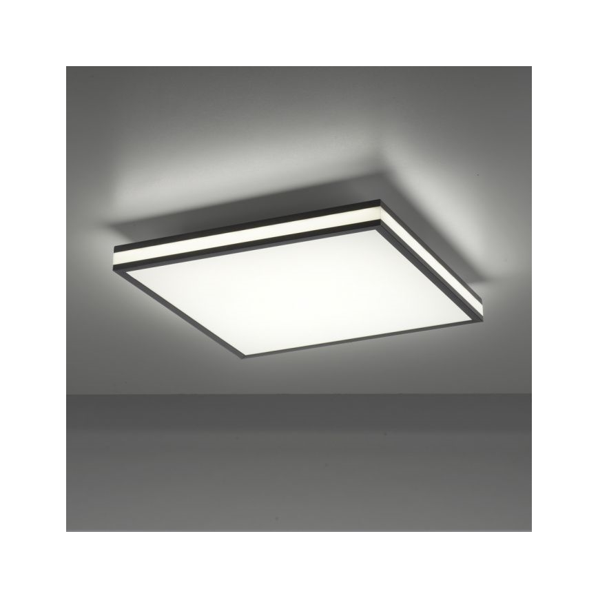 JUST LIGHT. 14110-18 - LED RGBW Zatemnitvena stropna svetilka MARIO BLACK LED/19,5W/230V 2700-5000K + Daljinski upravljalnik