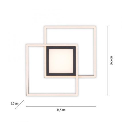 JUST LIGHT. 14144-18 - LED Stropna svetilka ASMIN LED/26W/230V