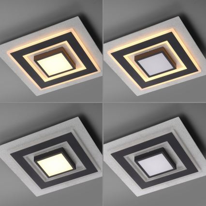 JUST LIGHT. 14439-21 - LED stropna svetilka CICHIO LED/18,5W/230V + LED/9W 40x40 cm črna