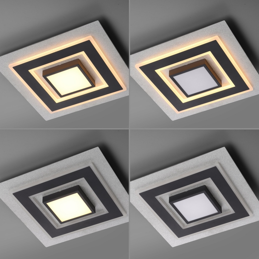 JUST LIGHT. 14439-21 - LED stropna svetilka CICHIO LED/18,5W/230V + LED/9W 40x40 cm črna