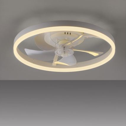 JUST LIGHT. 14624-16 - LED stropni ventilator z zatemnljivo svetlobo RITA LED/22W/230V 3000-6000K premer 50 cm v beli barvi + daljinski upravljalnik