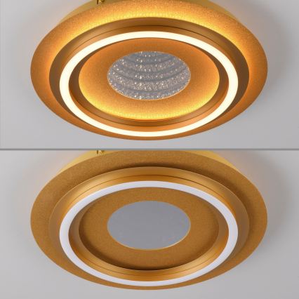 JUST LIGHT. 15089-60 - LED stropna svetilka CICHIO LED/36W/230V Ø 40 cm zlata