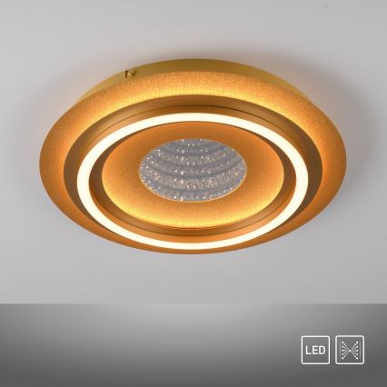 JUST LIGHT. 15089-60 - LED stropna svetilka CICHIO LED/36W/230V Ø 40 cm zlata