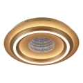 JUST LIGHT. 15089-60 - LED stropna svetilka CICHIO LED/36W/230V Ø 40 cm zlata