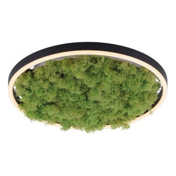 JUST LIGHT. 15391-66 - LED Zatemnitvena stropna svetilka ZELENA RITU LED/20W/230V