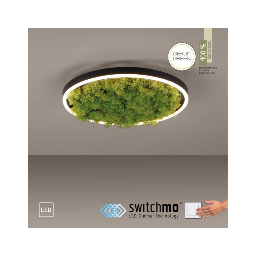 JUST LIGHT. 15391-66 - LED Zatemnitvena stropna svetilka ZELENA RITU LED/20W/230V