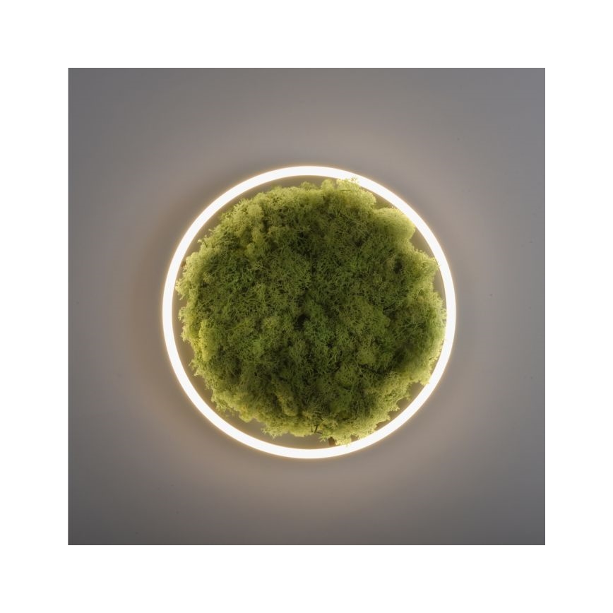JUST LIGHT. 15391-66 - LED Zatemnitvena stropna svetilka ZELENA RITU LED/20W/230V