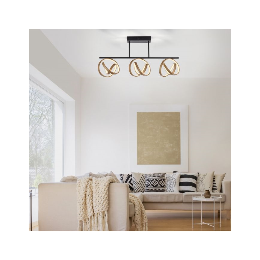 JUST LIGHT. 6245-18 - LED Zatemnitveni lestenec LOOP 3xLED/11W/230V 2700-5000K + Daljinski upravljalnik