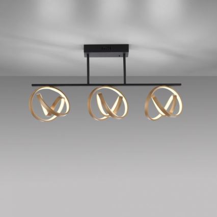 JUST LIGHT. 6245-18 - LED Zatemnitveni lestenec LOOP 3xLED/11W/230V 2700-5000K + Daljinski upravljalnik