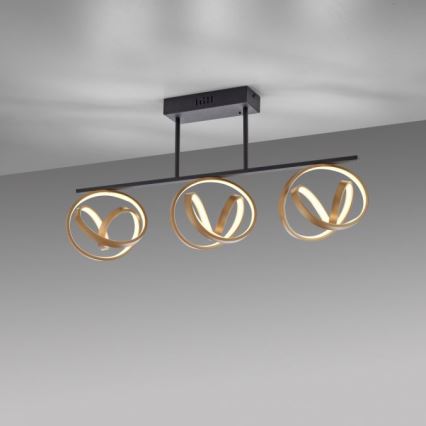 JUST LIGHT. 6245-18 - LED Zatemnitveni lestenec LOOP 3xLED/11W/230V 2700-5000K + Daljinski upravljalnik