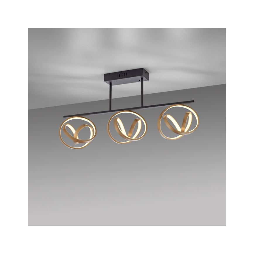 JUST LIGHT. 6245-18 - LED Zatemnitveni lestenec LOOP 3xLED/11W/230V 2700-5000K + Daljinski upravljalnik