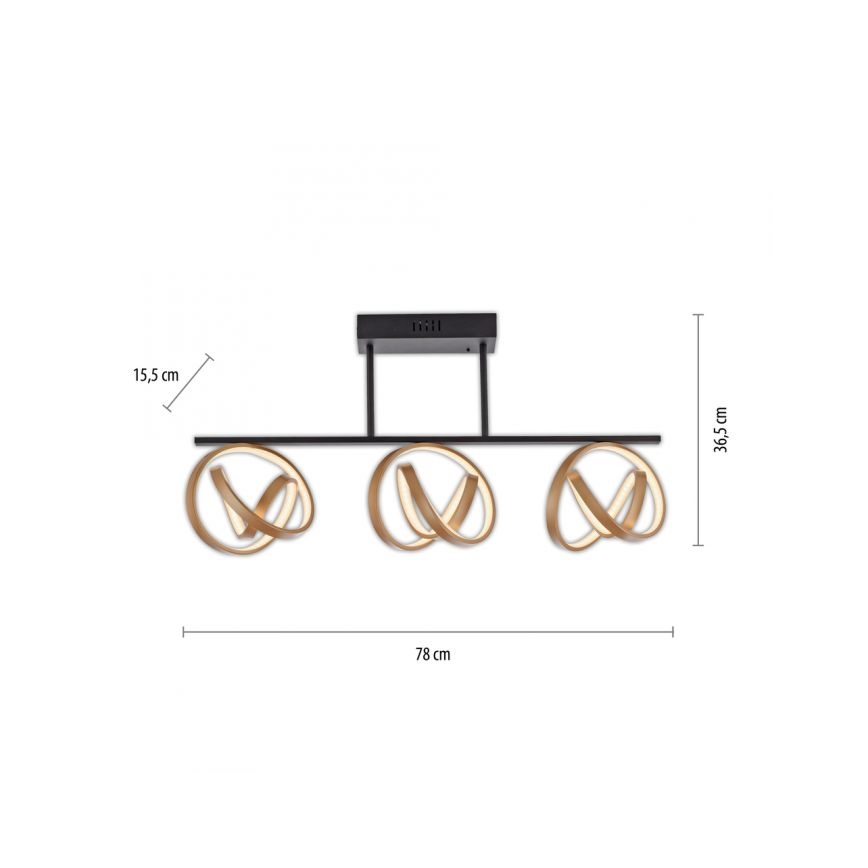 JUST LIGHT. 6245-18 - LED Zatemnitveni lestenec LOOP 3xLED/11W/230V 2700-5000K + Daljinski upravljalnik