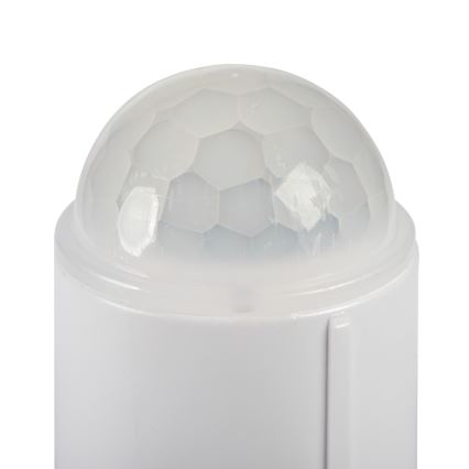 LED stropna svetilka s senzorjem gibanja in senzorjem mraka FOGLER LED/12W/230V, premer 28 cm