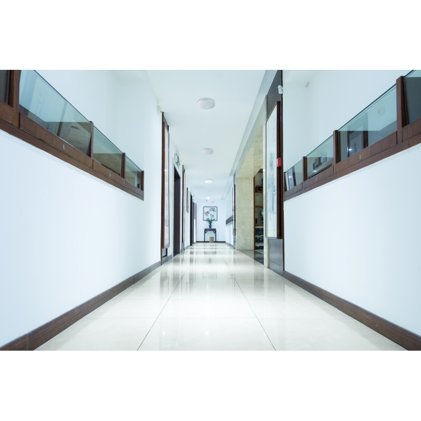 LED stropna svetilka s senzorjema gibanja in mraka FOGLER LED/17W/230V premer 33 cm