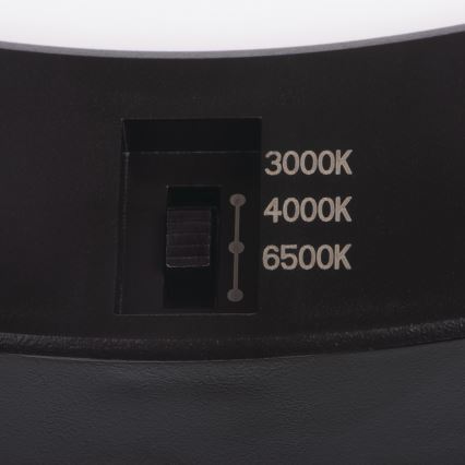 LED Stropna/Vgradna svetilka s senzorjem gibanja 2v1 ERGA LED/17W/230V 3000/4000/6500K črna