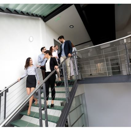 LED stropna/vgradna svetilka 2v1 ERGA LED/17W/230V 3000/4000/6500K črna