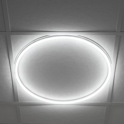 LED Okvir za spuščene stropove AVAR LED/40W/230V 4000K pr. 59 cm