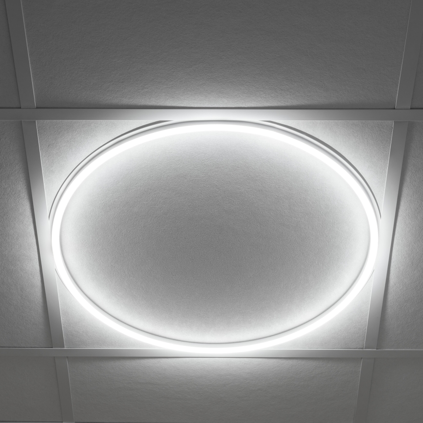 LED Okvir za spuščene stropove AVAR LED/40W/230V 4000K pr. 59 cm