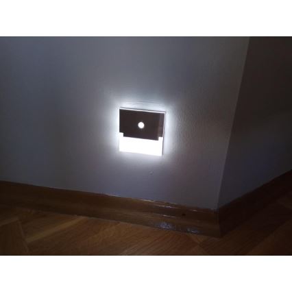 LED Stopniščna svetilka SABIK s senzorjem LED/0,8W/12V 3000K
