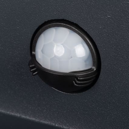 LED zunanja stenska svetilka s senzorjem REKA LED/7W/230V IP54 antracitna kvadratna