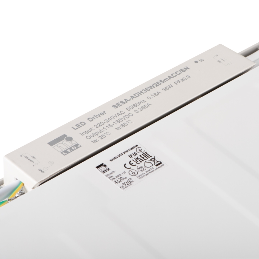 LED Vgradni panel BAREV ECO LED/36W/230V 4000K 60x60 cm