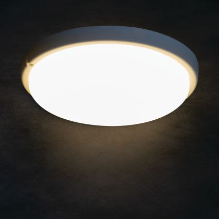 LED Kopalniška stropna svetilka TOLU LED/18W/230V 4000K IP54 bela