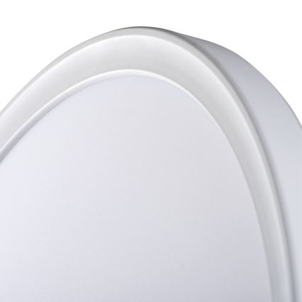 LED Kopalniška stropna svetilka AZPO LED/18,5W/230V pr. 29 cm IP54 bela