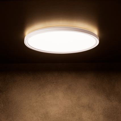 LED stropna svetilka AZPO LED/22W/230V 3000/4000/6000K Ø 42 cm IP54 bela