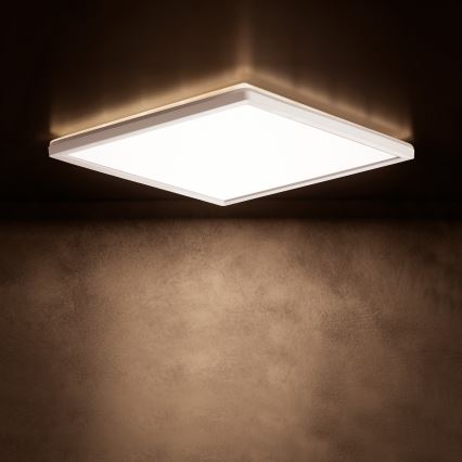 LED stropna svetilka AZPO LED/17,5W/230V 3000/4000/6000K 30x30 cm IP54 bela