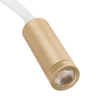 LED fleksibilna namizna svetilka TONIL LED/3,3W/230V bela/zlata