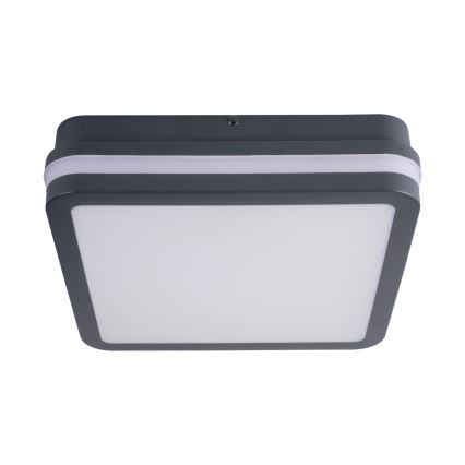 LED Zunanja stropna svetilka s senzorjem gibanja BENO LED/18W/230V antracit IP54