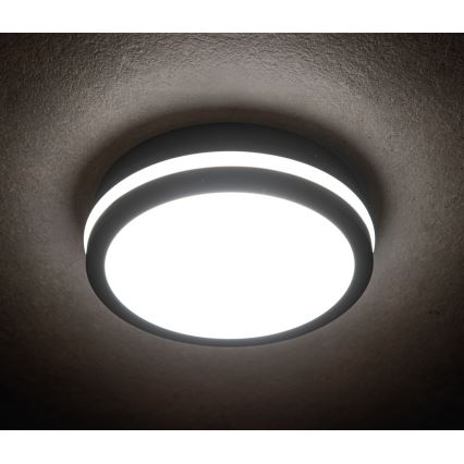 LED Zunanja svetilka s senzorjem BENO LED/18W/230V 4000K antracit IP54